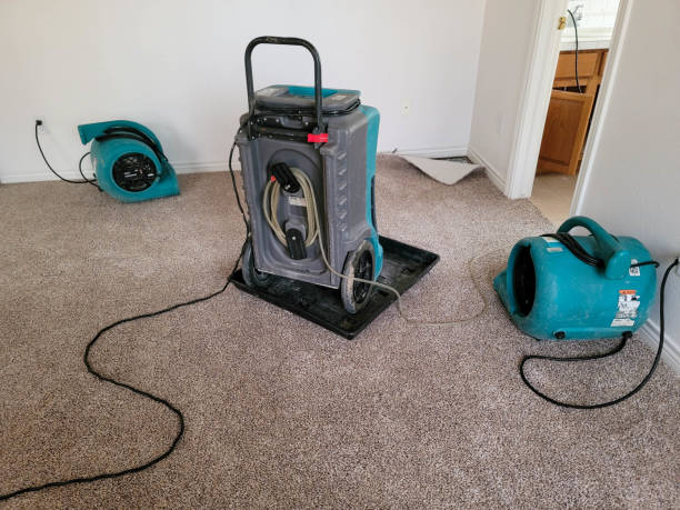 Best Mold removal after water damage  in Riverton, NJ