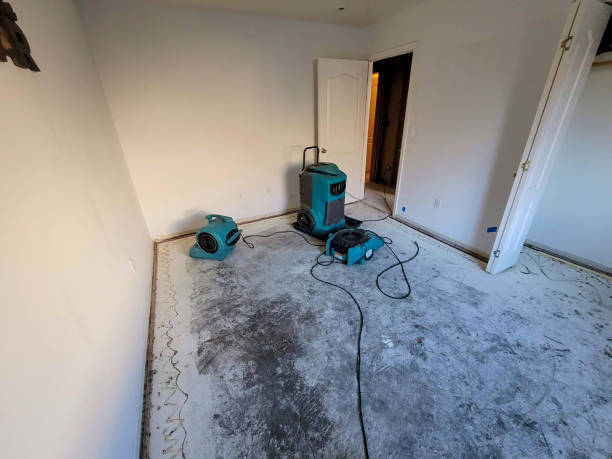Best Ceiling water damage repair  in Riverton, NJ