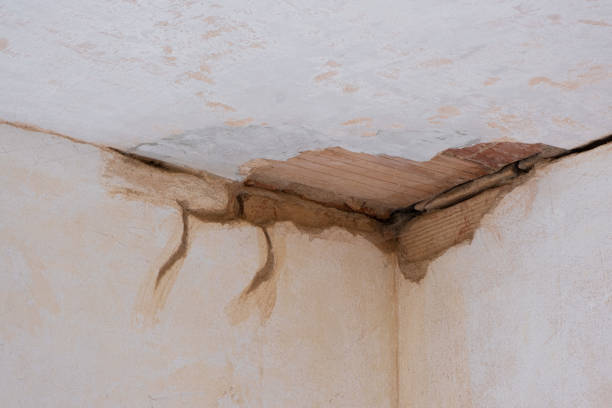 Best Residential water damage restoration  in Riverton, NJ