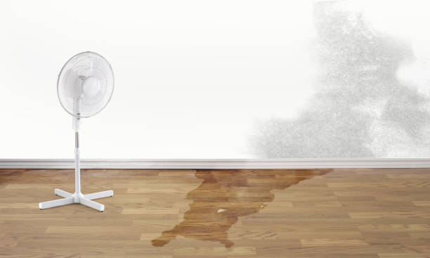 Best 24/7 water damage repair  in Riverton, NJ