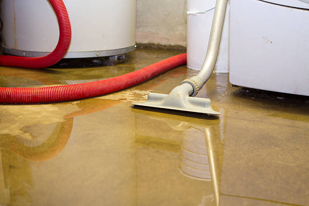 Best Water damage restoration near me  in Riverton, NJ