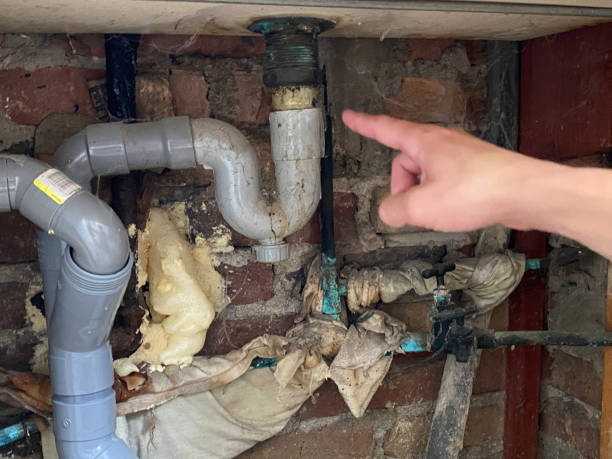 Best Professional water damage repair  in Riverton, NJ
