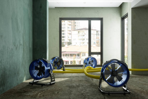 Best Water damage contractors near me  in Riverton, NJ